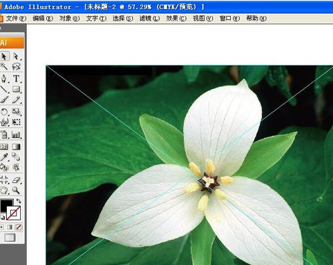 Adobe Illustrator CS6官方简体中文版怎么抠图