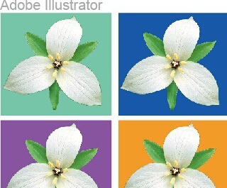 Adobe Illustrator CS6官方简体中文版怎么抠图
