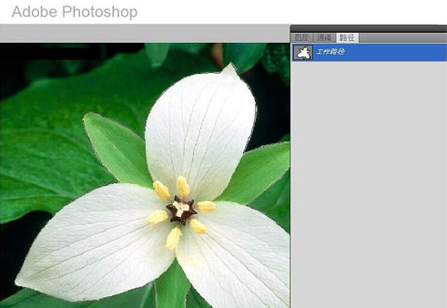 Adobe Illustrator CS6官方简体中文版怎么抠图