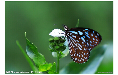 怎么删除多余部分1