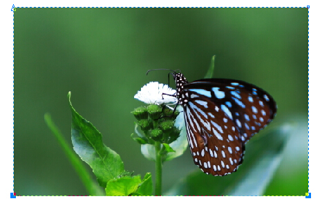 怎么删除多余部分2