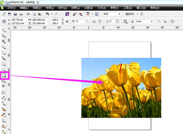 CorelDRAW2020破解版使用说明