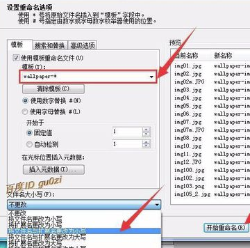 ACDSee5.0中文破解版怎么批量重命名