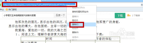 冰点文库下载器绿色版使用教程2