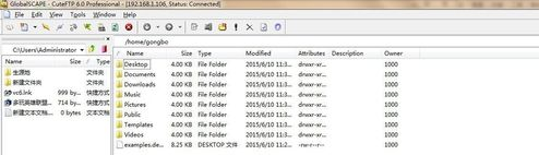 CuteFTP中文破解版不能连接虚拟机的解决方法