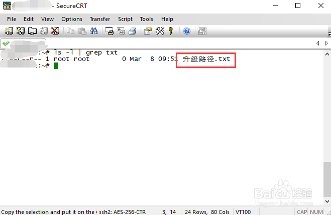 securecrt如何设置中文