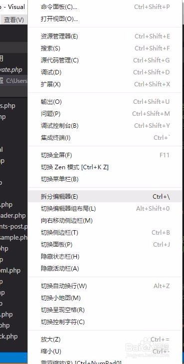 Visual Studio Code破解版使用说明19
