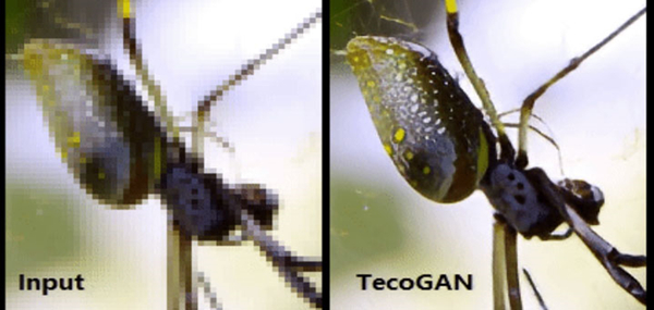 【tecogan软件下载】TecoGanPC版 v1.0 官方免费版