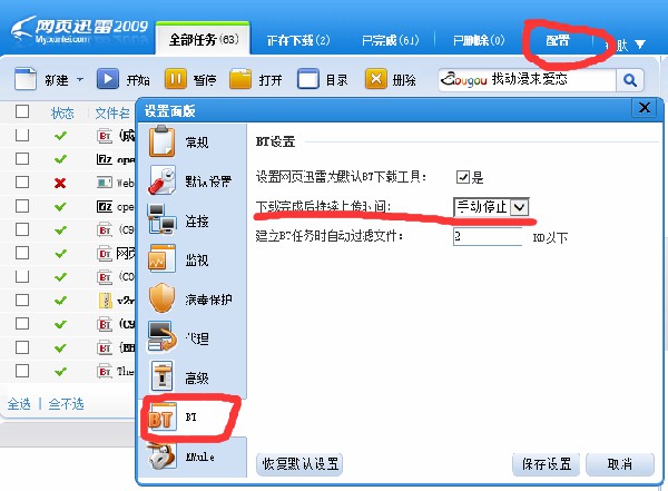 【网页迅雷官方下载】网页迅雷2009修改版 无限速绿色版