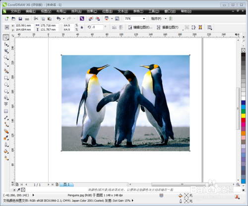 CorelDRAW x8中文版下载