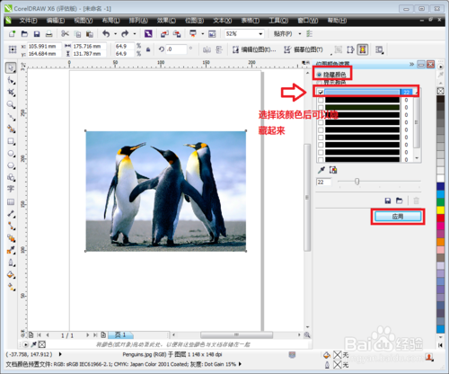 CorelDRAW x8中文版下载