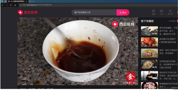 【西瓜视频下载工具】西瓜视频下载工具 v48.0 免费版
