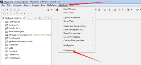 MyEclipse10破解版怎么显示行数