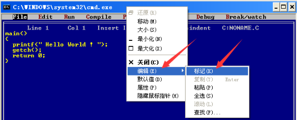 Turo c 2.0如何复制源程序或运行的结果