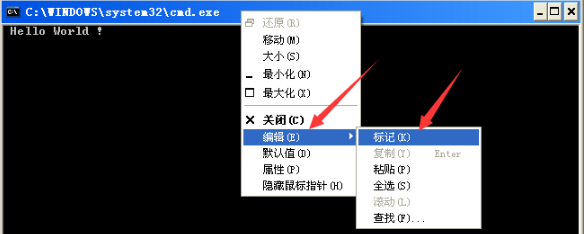 Turo c 2.0如何复制源程序或运行的结果