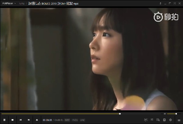 【PotPlayer中文版下载】PotPlayer修改版 v1.7.20538 汉化增强版