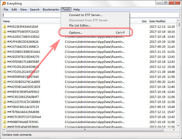 Everything中文版使用方法1