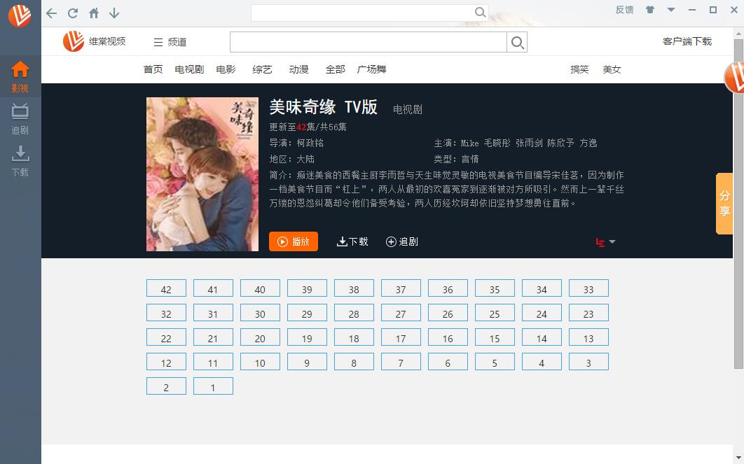 维棠FLV视频下载器使用教程截图
