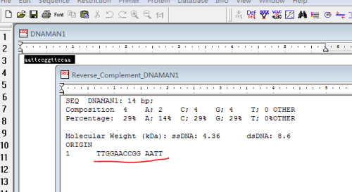 DnaMan软件怎么得到反向互补的DNA序列