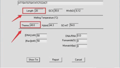 DnaMan软件怎么设计引物
