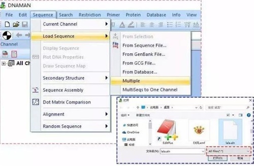 DnaMan软件怎么导出序列比对图