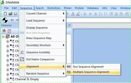 DnaMan软件怎么导出序列比对图