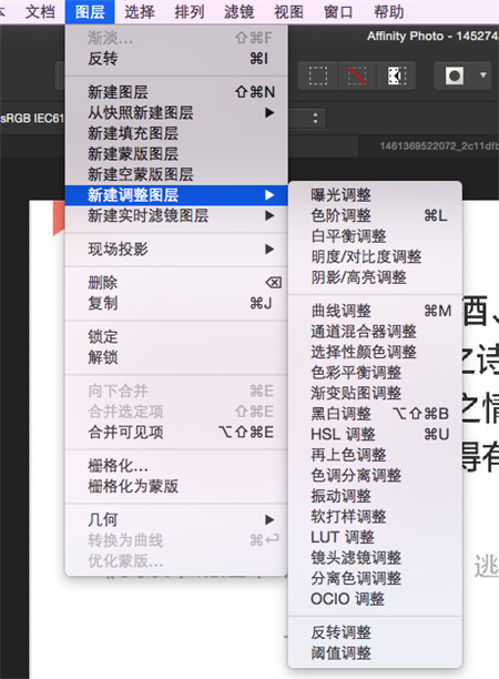 Affinity Photo使用教程截图1