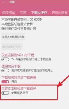 哔哩哔哩pc版怎么下载视频2