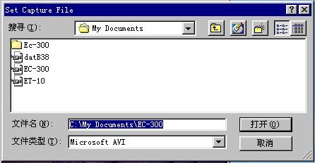 AMCap中文版使用教程