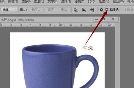 photoshop 2019怎么选中不规则图形2