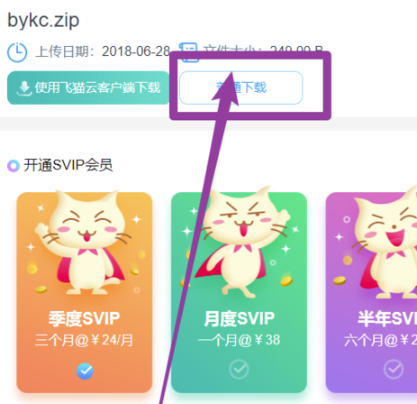 飞猫云破解版怎么下载文件