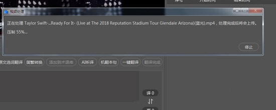 人人译视界pc破解版常见问题截图