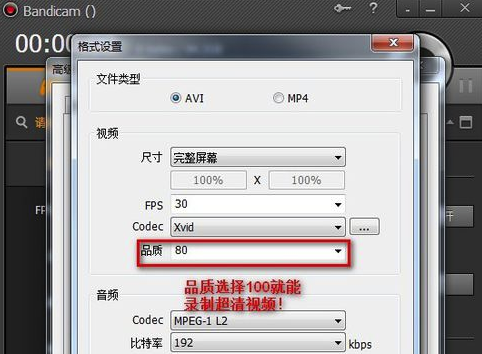 Bandicam中文破解版使用说明8