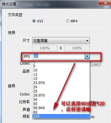 Bandicam中文破解版使用说明9