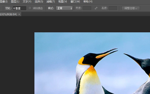 PS cc2019中文破解版怎么抠图