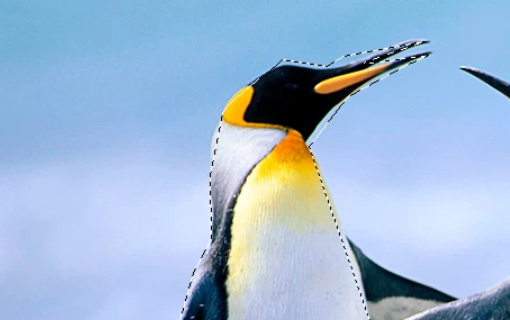 PS cc2019中文破解版怎么抠图