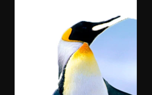 PS cc2019中文破解版怎么抠图