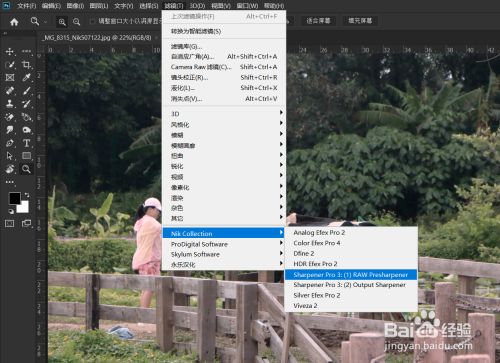Nik collection打开为灰色状态不能用听语音6