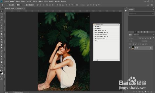 nik collection闪退解决方法2