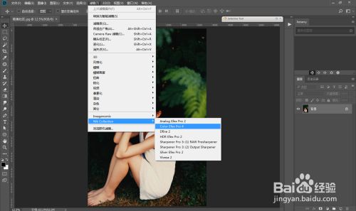 nik collection闪退解决方法4