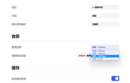 YesPlay音乐电脑版点评1