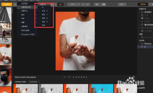 luminar怎么给图片添加颜色标签3