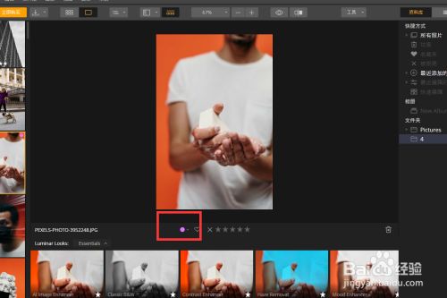 luminar怎么给图片添加颜色标签4