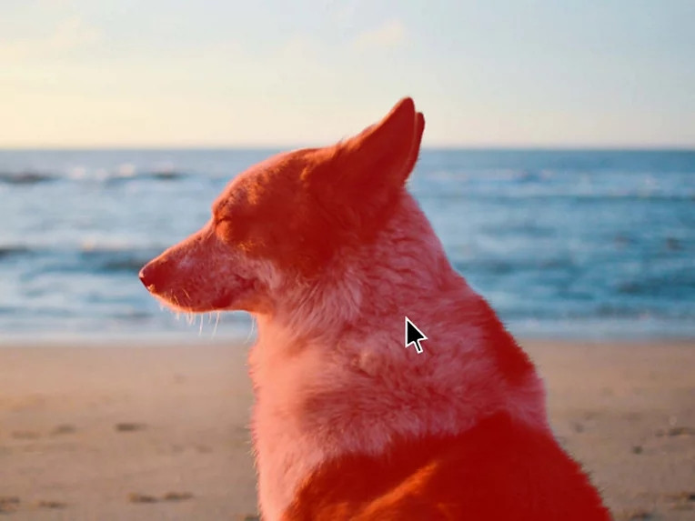 Adobe Lightroom 2022破解版截图3