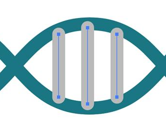 Adobe Illustrator CC2022破解版如何绘制dna分子7