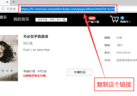MusicTools无损音乐下载器搜索不到某首歌怎么办1