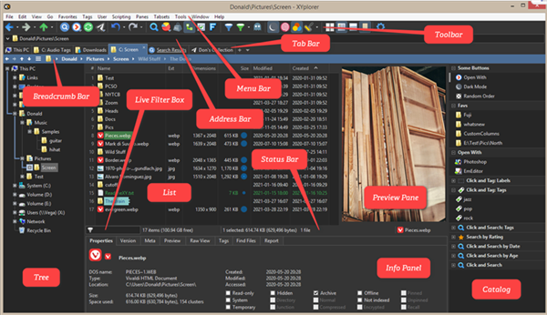XYplorer免注册版快速入门指南1