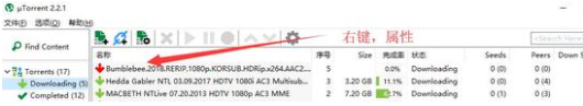 uTorrent PRO绿色版下载速度慢2