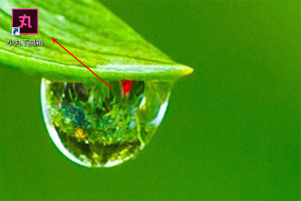 怎么转成mp4步骤1