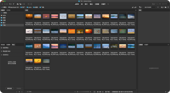 如何用Adobe Bridge管理图片3